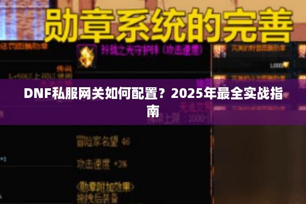 DNF私服网关如何配置？2025年最全实战指南