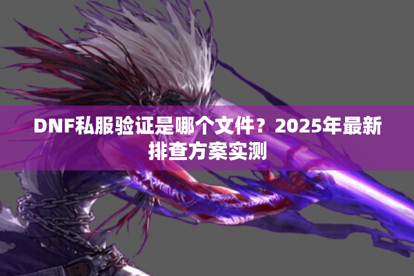DNF私服验证是哪个文件？2025年最新排查方案实测