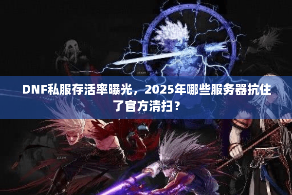 DNF私服存活率曝光，2025年哪些服务器抗住了官方清扫？