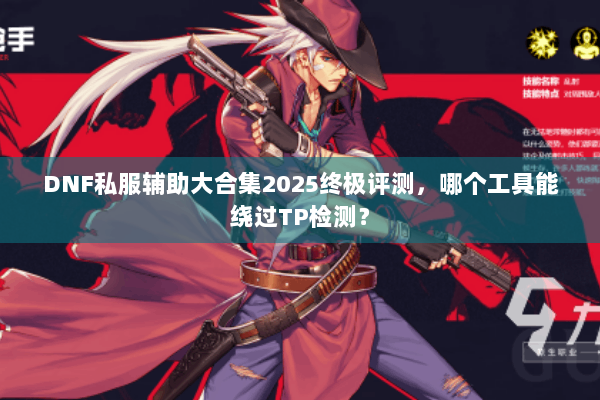 DNF私服辅助大合集2025终极评测，哪个工具能绕过TP检测？