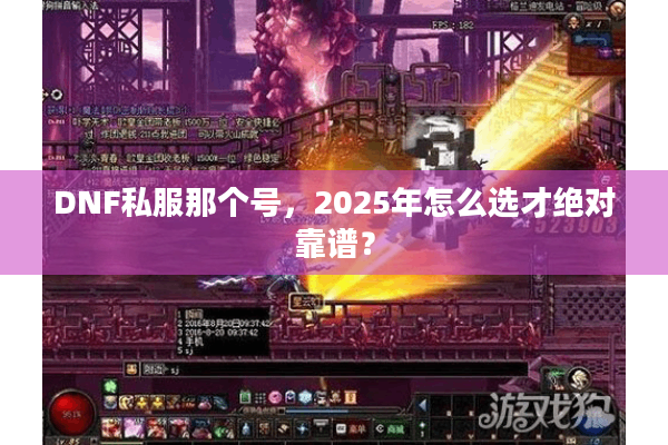 DNF私服那个号，2025年怎么选才绝对靠谱？