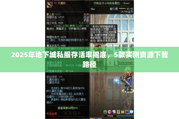 2025年地下城私服存活率揭底，5款实测资源下载路径