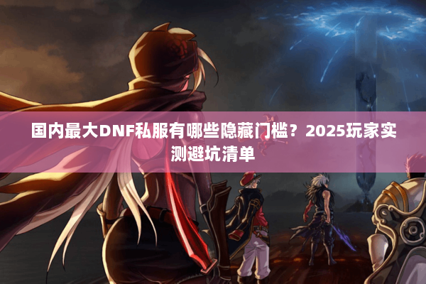 国内最大DNF私服有哪些隐藏门槛？2025玩家实测避坑清单