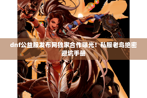 dnf公益服发布网独家合作曝光！私服老鸟绝密避坑手册