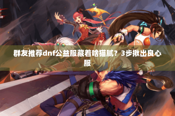 群友推荐dnf公益服藏着啥猫腻？3步揪出良心服
