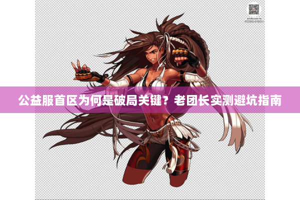公益服首区为何是破局关键？老团长实测避坑指南