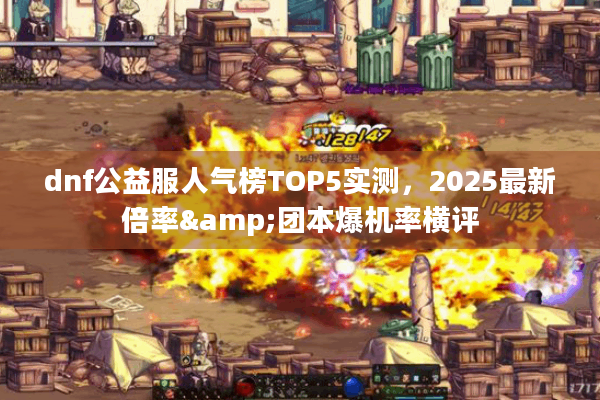 dnf公益服人气榜TOP5实测，2025最新倍率&团本爆机率横评
