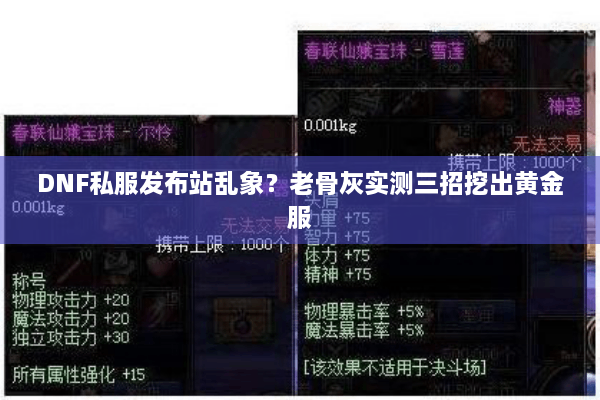 DNF私服发布站乱象？老骨灰实测三招挖出黄金服